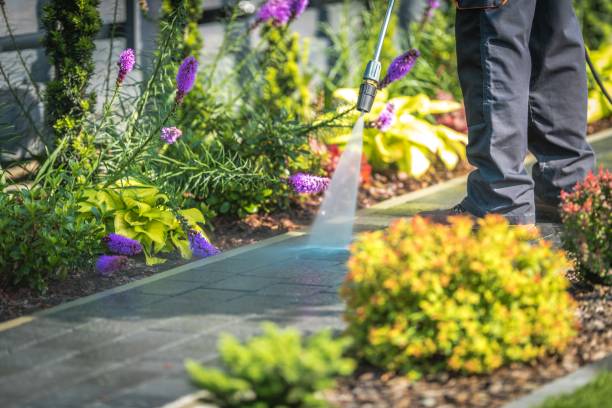 Best Fence Cleaning  in Philippi, WV