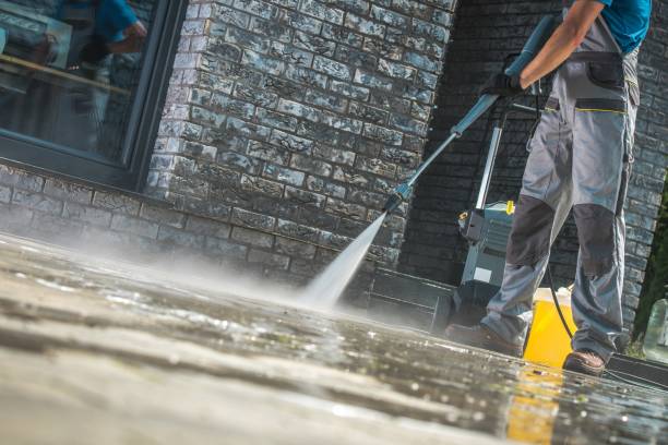 Best Roof Washing  in Philippi, WV