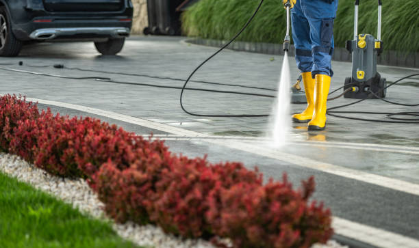 Best Driveway Pressure Washing  in Philippi, WV